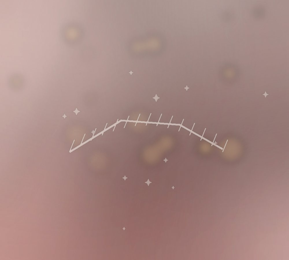 Lash lift coréen et browlift